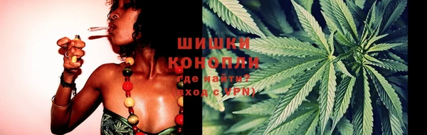 mdpv Елизово