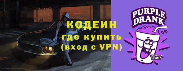 гашик Елабуга