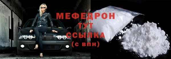 ECSTASY Ельня