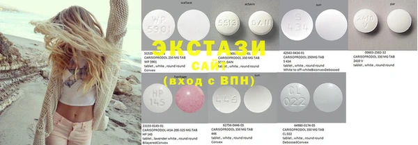 ECSTASY Ельня