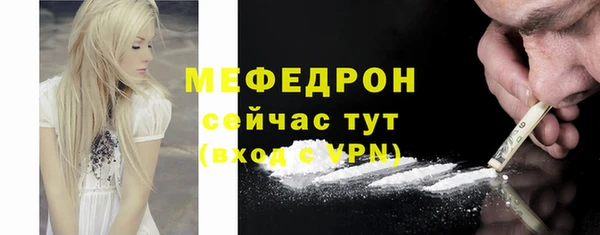 ECSTASY Ельня