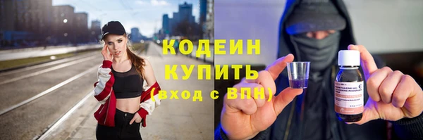 гашик Дмитриев