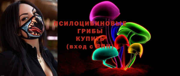гашик Елабуга