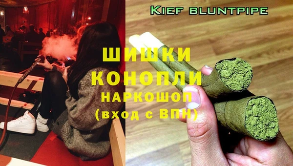 mdpv Елизово