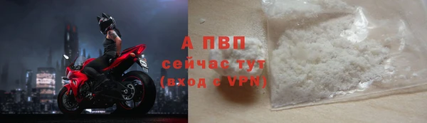 ECSTASY Ельня