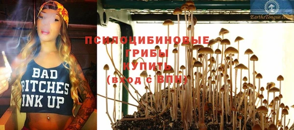 mdpv Елизово