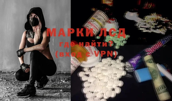 ECSTASY Ельня