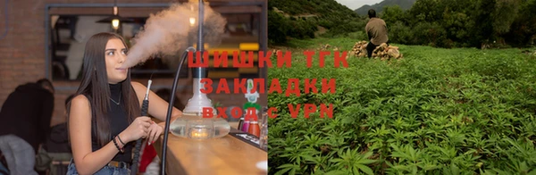 mdpv Елизово