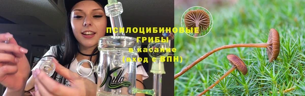 гашик Дмитриев