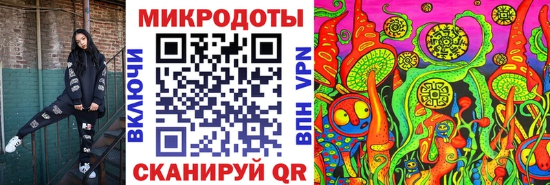 Галлюциногенные грибы Psilocybine cubensis  Купить где  Зея 